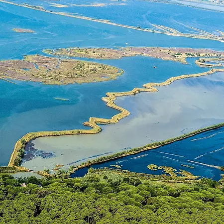 Marianna Lejlighed Rosolina Mare